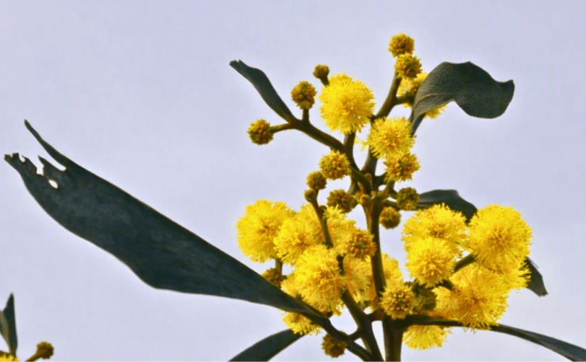 Bright Yellow